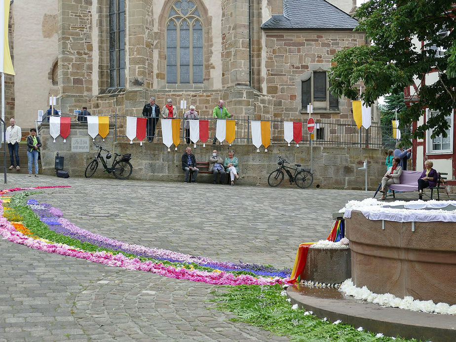 Bluemteppich auf dem Naumburegr Marktplatz (Foto: Karl-Franz Thiede)